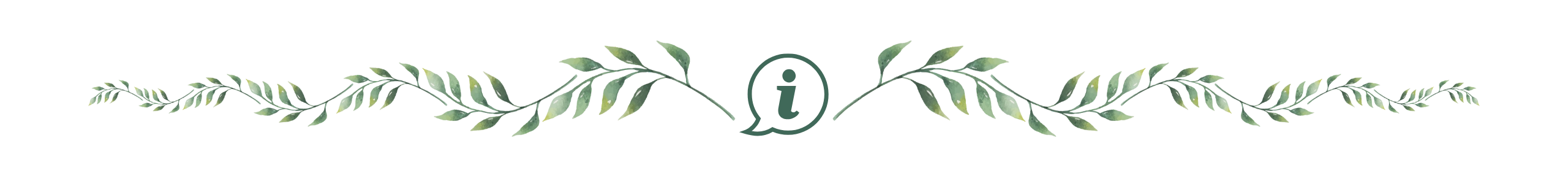 separateur feuilles avec icone information